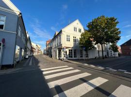 Hel bylejlighed i det gamle pulsernede Svendborg，位于斯文堡的酒店