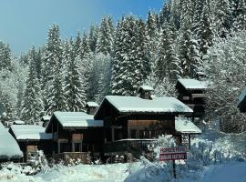 Charmant chalet aux Gets，位于莱热的酒店