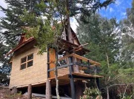 Cabañas Del Árbol n2