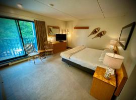 Mountain Life Retreat at Smuggler's Notch Resort，位于Morses Mill的酒店