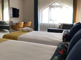 Tunus Loft，位于安卡拉的酒店