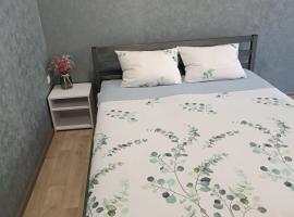 Две уютные квартиры в центре города Дзержинка - New apartments，位于克里沃罗格的酒店