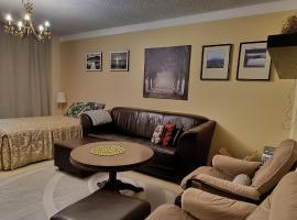 Apartment Nilsiä，位于尼尔西艾的酒店