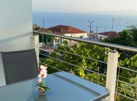 Alexandros Luxury Apartment