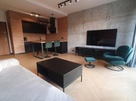 Apartament LOFT，位于普鲁什库夫的酒店