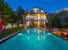 Villa Dinyeper Oludeniz，位于费特希耶的酒店