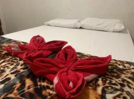 República Quarto Primavera