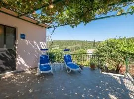 Apartments Saulan - One Bedroom Apartment with Balcony and Garden View Molunat