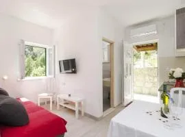 Apartments Matu ko Mljet - One Bedroom Apartment with Balcony and Sea View