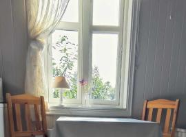 Øya husrom-enkeltsenger-kjøkken-bad，位于萨普斯堡的酒店