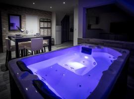 VIP 2 Loft avec spa privatif à 10 min de Dijon，位于Fauverney的酒店