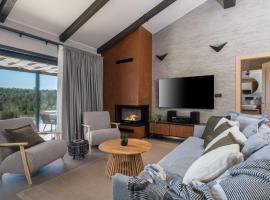 Villa Noeli with Swimming Pool，位于Hum的酒店