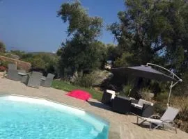 Villa luxe bord de mer, jardin, piscine