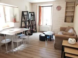 Appartement cosy en centre-ville, proche pistes, 4 pers - FR-1-515-216