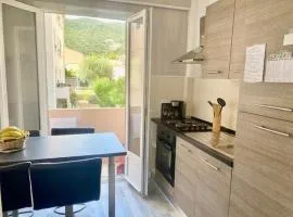 Appartement F2 rénové centre-ville proche cures - FR-1-703-192