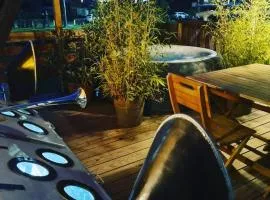 Péniche de charme avec jacuzzi sur canal du midi