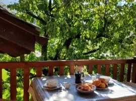 La Vigne de Papagran