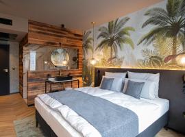 AMIA Hotel Singen，位于辛根的酒店