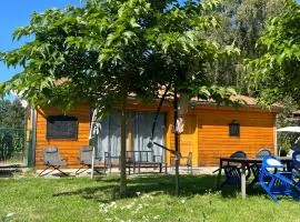 Chalet des Anges