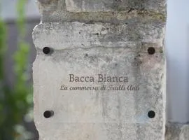 Bacca Bianca-Trulli Antì Charme & Relax