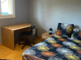 Chambre spacieuse à louer dans une maison calme avec un grand jardin