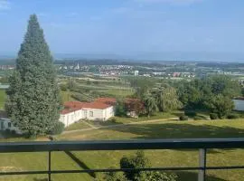 See- und Bergblick Oberteuringen