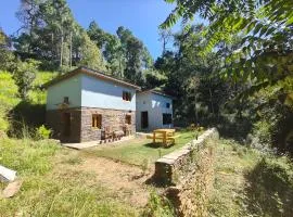 Astitva Binsar