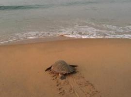 Sea castle beach homestay，位于奎隆的酒店