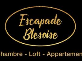 Escapade Blésoise supérieur，位于布鲁瓦的酒店