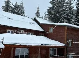 Калина