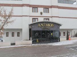 Animos Butik Otel，位于Dikmen的公寓式酒店