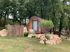 POD Nature 2