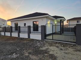 Adelina House，位于Remetea Mare的酒店