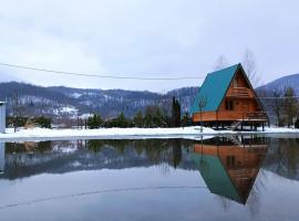 Winter Vikendica Mimiena，位于Račić的别墅