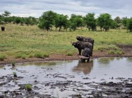 Africa Safari Serengeti Kusini，位于塞伦盖蒂国家公园的豪华帐篷