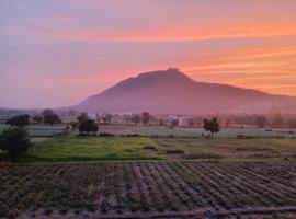 Hotel Divine Palace Pushkar，位于布什格尔的酒店