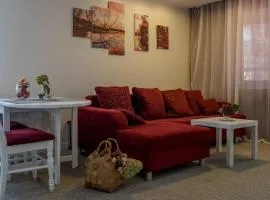 Apartamentai Birštono centre su židiniu