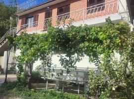Vila Ružica，位于Sićevo的酒店