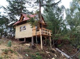 Cabaña del arbol，位于Sesquilé的酒店