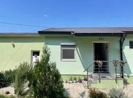 The Little Green House