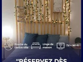 Appartement Business&Famille près gare Orleans TV WIFI