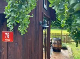 Tiny House Všemily，位于耶什赫维采的小屋
