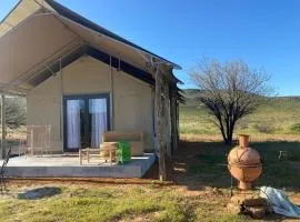 Marquee Safari Tent Babianas