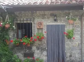 Casa Cuevas