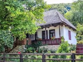 Casuta Fermecata, Tara Lapusului