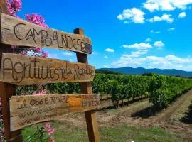 Agriturismo La Rondine