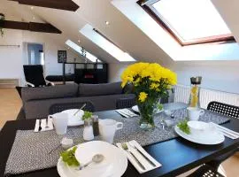 central working and living apartments