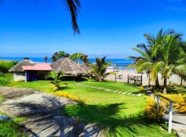 Hotel Punta Azul，位于佩德纳莱斯的酒店