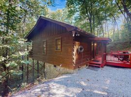 Itterberg Cabin，位于蓝岭的酒店