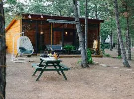 Mutlu Tiny House